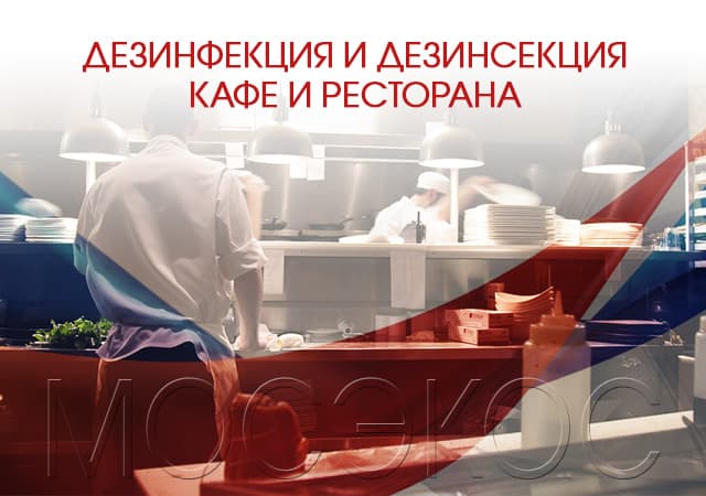 Дезинсекция предприятия общественного питания в Домодедово