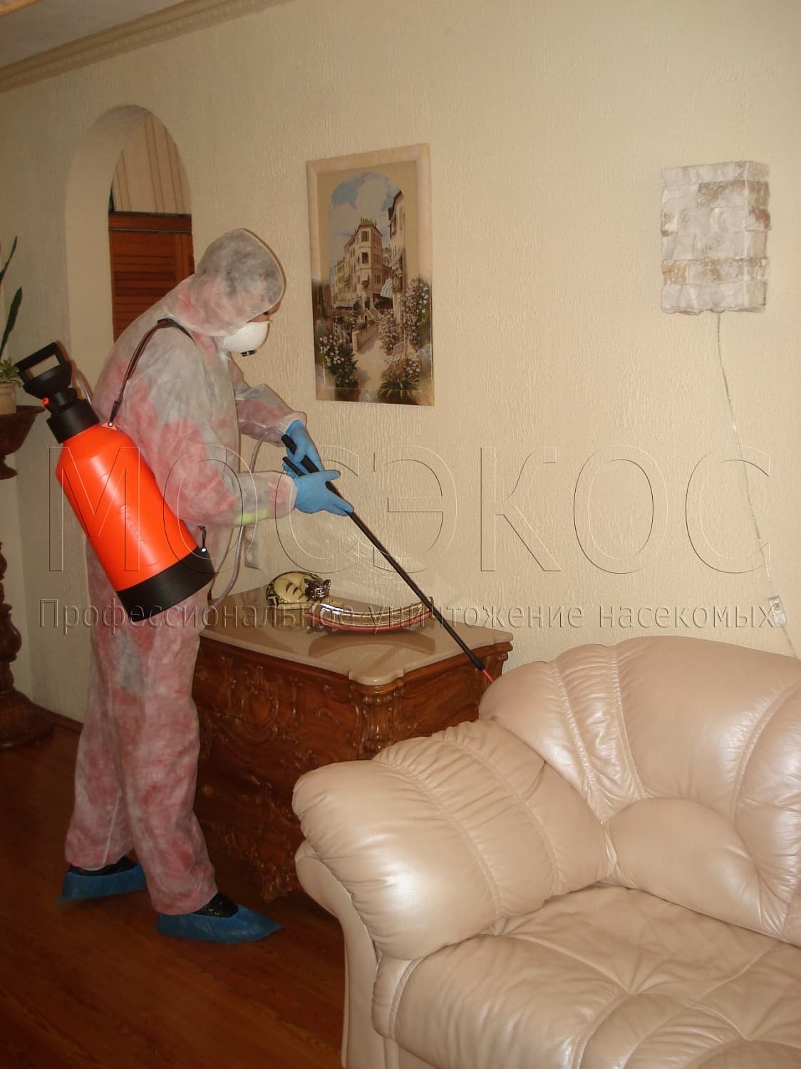 Клопы дома: как избавиться от паразитов в Домодедово